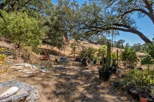 8970 Feliz Creek Dr, Ukiah, CA 95482 - Photo 15
