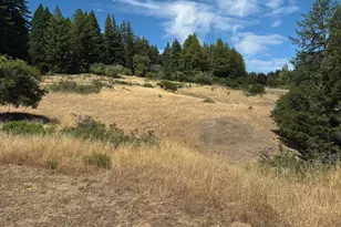 17777 Willow Creek Rd, Occidental, CA 95465 - Photo 39