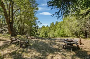 17777 Willow Creek Rd, Occidental, CA 95465 - Photo 23