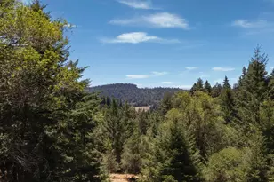 17777 Willow Creek Rd, Occidental, CA 95465 - Photo 25