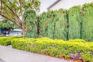1702 Capistrano Dr, Petaluma, CA 94954 - Photo 63