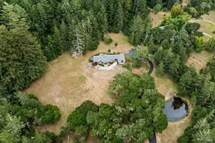 2585 Marra Rd, Occidental, CA 95465 - Photo 55