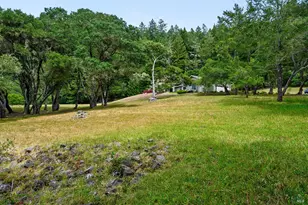 2585 Marra Rd, Occidental, CA 95465 - Photo 5