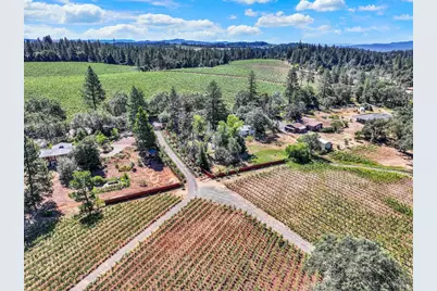 875 White Cottage Road, Angwin, CA 94508 - Photo 7