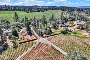 875 White Cottage Rd, Angwin, CA 94508 - Photo 7