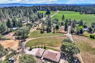 875 White Cottage Rd, Angwin, CA 94508 - Photo 5
