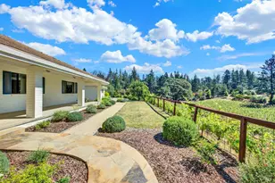 875 White Cottage Rd, Angwin, CA 94508 - Photo 25
