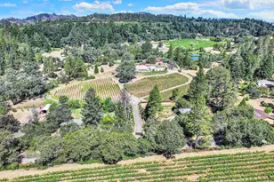 875 White Cottage Rd, Angwin, CA 94508 - Photo 3