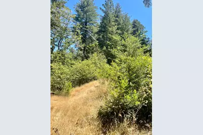 9 Meadow View Lane, San Geronimo, CA 94963 - Photo 5