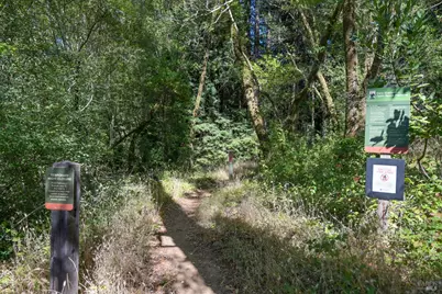 5 Meadow View Lane, San Geronimo, CA 94963 - Photo 9