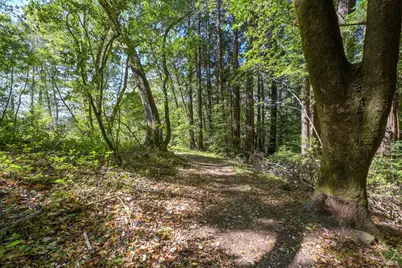 5 Meadow View Lane, San Geronimo, CA 94963 - Photo 13