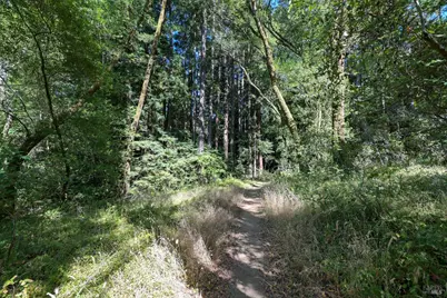 5 Meadow View Lane, San Geronimo, CA 94963 - Photo 11