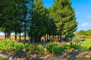 531 Limerick Ln, Healdsburg, CA 95448 - Photo 31