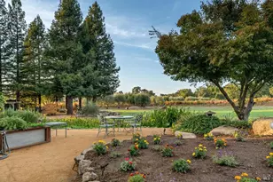 531 Limerick Ln, Healdsburg, CA 95448 - Photo 25