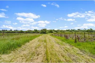 9700 Mill Station Road, Sebastopol, CA 95472 - Photo 45