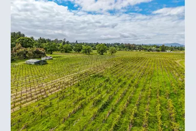 9700 Mill Station Road, Sebastopol, CA 95472 - Photo 11