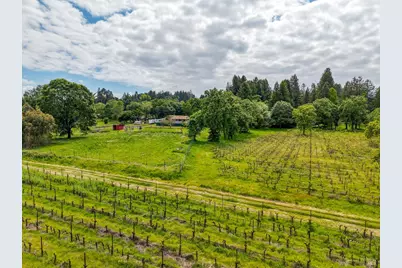 9700 Mill Station Road, Sebastopol, CA 95472 - Photo 35