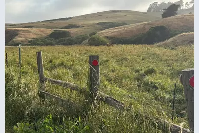39 Carrie Street, Tomales, CA 94971 - Photo 37