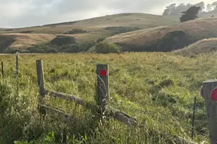 39 Carrie St, Tomales, CA 94971 - Photo 37