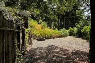 974 Lovell Ave, Mill Valley, CA 94941 - Photo 3