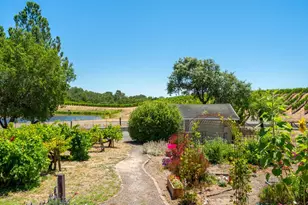 961 Chiquita Rd, Healdsburg, CA 95448 - Photo 29