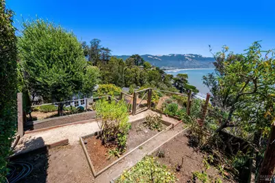 41 Ocean Avenue, Bolinas, CA 94924 - Photo 29