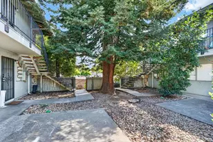 670 Lincoln Ave, Napa, CA 94558 - Photo 23
