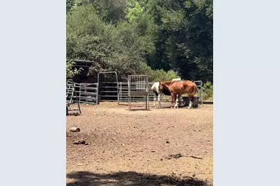 12847 Dunbar Road, Glen Ellen, CA 95442 - Photo 1
