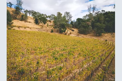 2250 Lake County Highway, Calistoga, CA 94515 - Photo 15