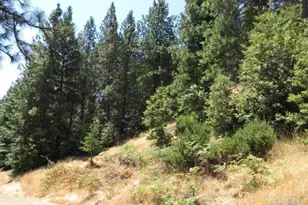 23480 Fort Ross Rd, Cazadero, CA 95421 - Photo 1