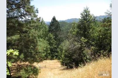 23480 Fort Ross Road, Cazadero, CA 95421 - Photo 3