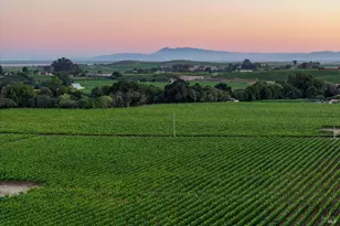 1720 Los Carneros Ave, Napa, CA 94559 - Photo 49