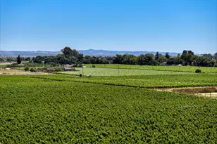 1720 Los Carneros Ave, Napa, CA 94559 - Photo 41