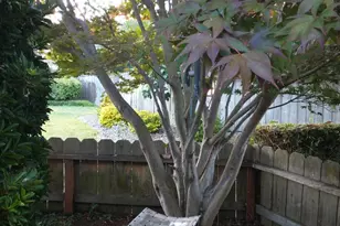 1210 Grove Cir, Benicia, CA 94510 - Photo 27