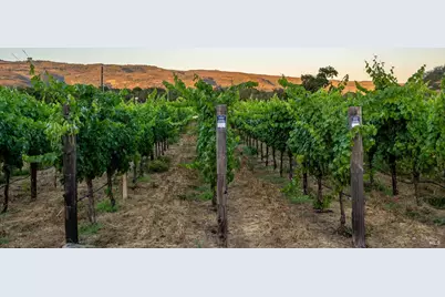 2929 Atlas Peak Road, Napa, CA 94558 - Photo 55