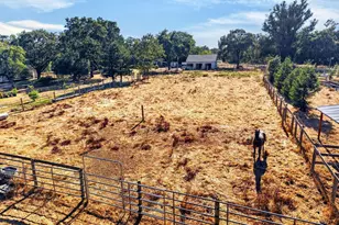 1623 Abramson Rd, Santa Rosa, CA 95401 - Photo 37