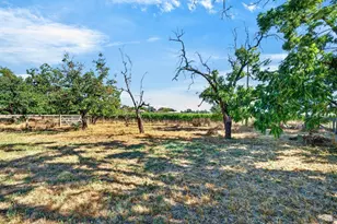 1623 Abramson Rd, Santa Rosa, CA 95401 - Photo 35