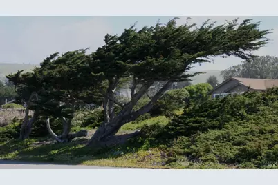 209 Calle Del Sol, Bodega Bay, CA 94923 - Photo 69