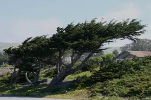 209 Calle Del Sol, Bodega Bay, CA 94923 - Photo 69