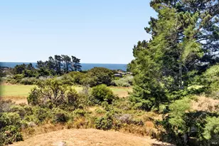41289 Tallgrass, The Sea Ranch, CA 95497 - Photo 49