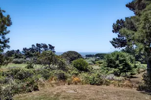 41289 Tallgrass, The Sea Ranch, CA 95497 - Photo 3