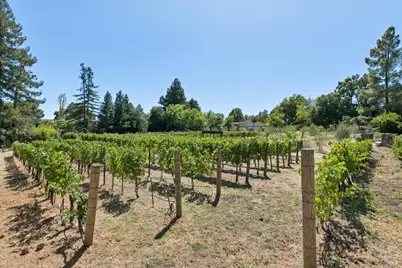 1685 Estee Avenue, Napa, CA 94558 - Photo 89