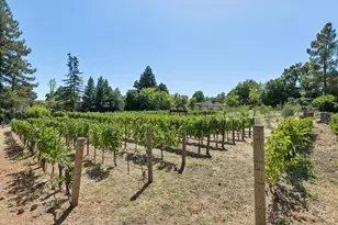 1685 Estee Ave, Napa, CA 94558 - Photo 89