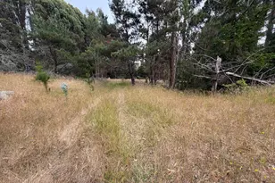 23285 Hwy 1, Jenner, CA 95450 - Photo 13