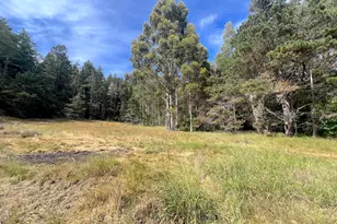 23285 Hwy 1, Jenner, CA 95450 - Photo 9