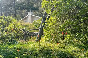 23285 Hwy 1, Jenner, CA 95450 - Photo 7