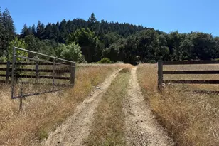 8950 Mill Creek Rd, Healdsburg, CA 95448 - Photo 7