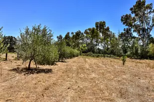 273 Napa Rd, Sonoma, CA 95476 - Photo 35