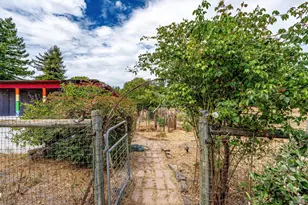 426 King Rd, Petaluma, CA 94952 - Photo 59