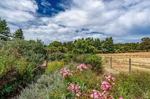 426 King Rd, Petaluma, CA 94952 - Photo 63